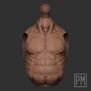 Strongfat Human Torso | Unpainted