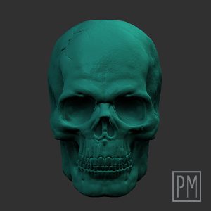 Skull head | Unpainted