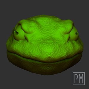 Frog Head | Unpainted