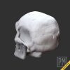 Undead Heads | Unpainted - Image 4