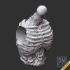 Undead Torsos | Unpainted - Image 3