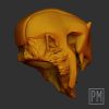 Warrior Ape Head | Unpainted - Image 4