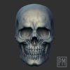 Standar Skull Head | Unpainted - Image 2
