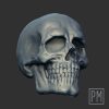 Standar Skull Head | Unpainted - Image 4