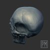 Standar Skull Head | Unpainted - Image 3