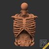 Undead Torsos | Unpainted - Image 8