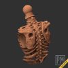 Undead Torsos | Unpainted - Image 10
