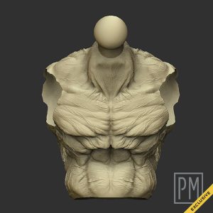 Alabaster Torso Standar | Unpainted