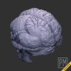 Drakkar Head | Unpainted - Image 3