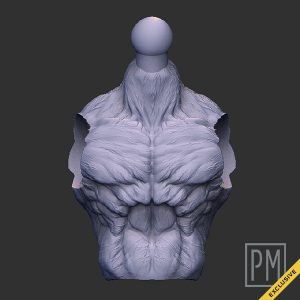 Drakkar Torso Standar | Unpainted