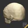 Helgaz Head | Unpainted - Image 4