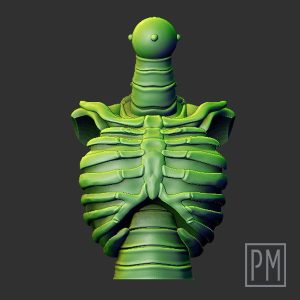 Basic skeleton torso | Unpainted