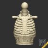 Skeleton armor set | Unpainted - Image 5