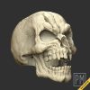 Skeleton armor Head broken | Unpainted - Image 4