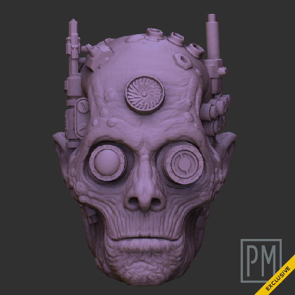 Zamain Cyborg head | Unpainted