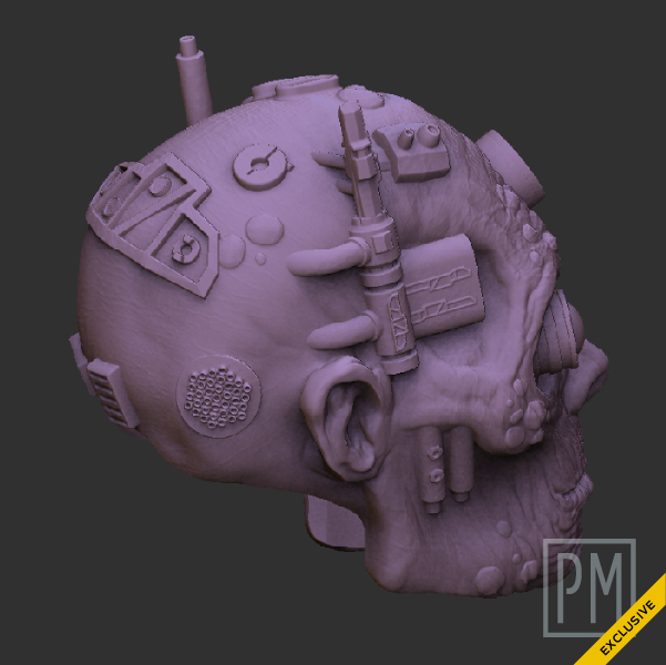 Zamain Cyborg head | Unpainted - Image 3